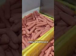 Reels Рифмы и Панчи 2