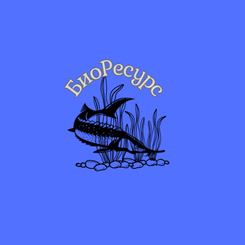 Добавить заголовок (1).png