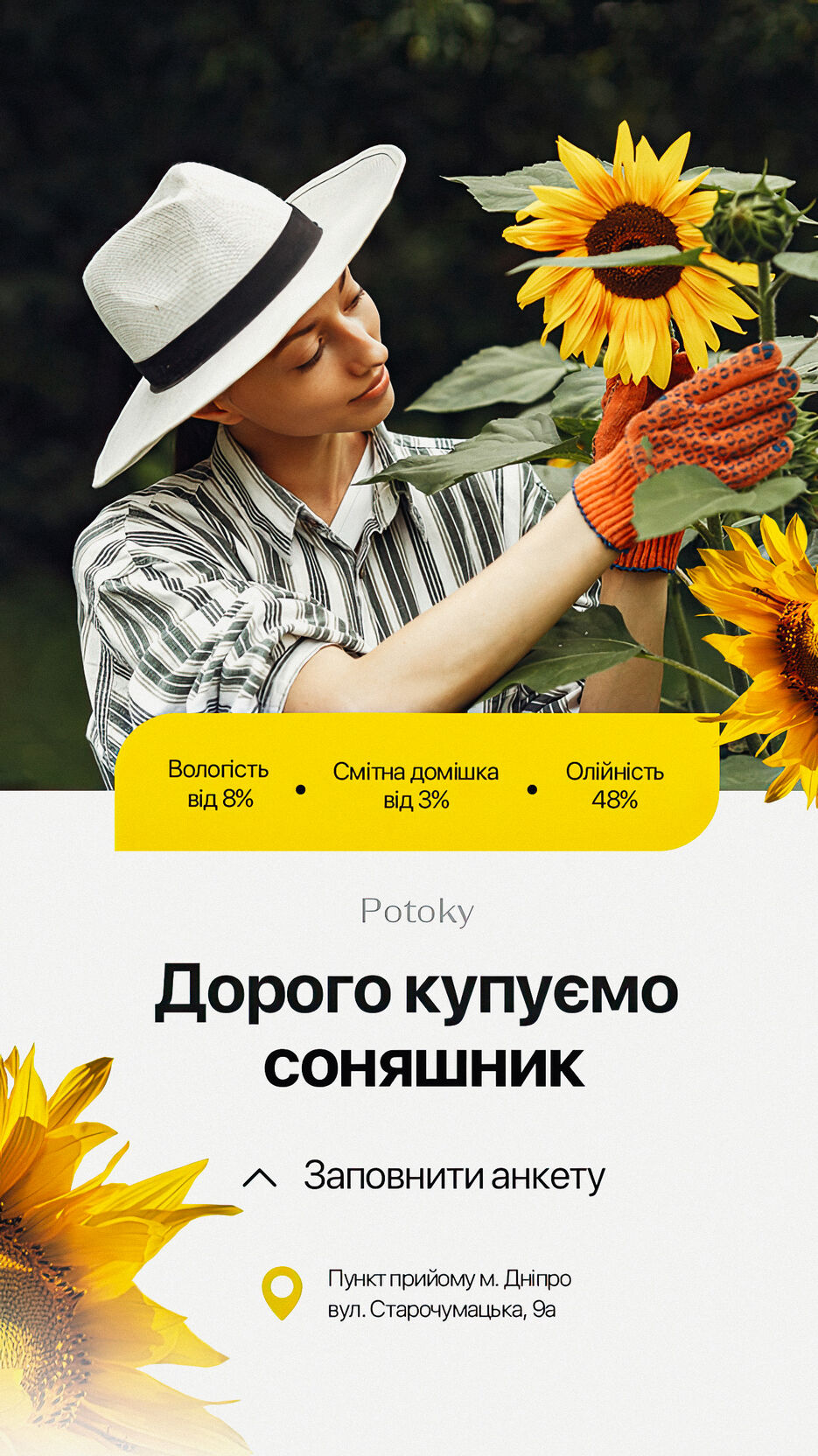 sunflowers copy-2.jpg