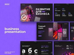 Презентация на заказ