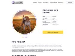 Посадка вёрстки сайта для питомника животных на ВордПресс