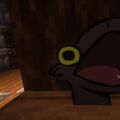 foksed