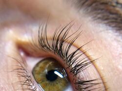 Обробка зони ока