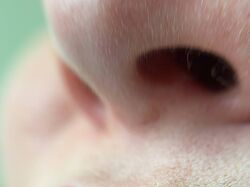 Обробка зони губ