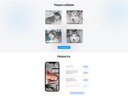 портфолио 