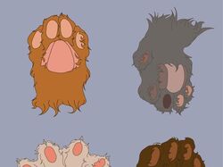 cat.Stickers