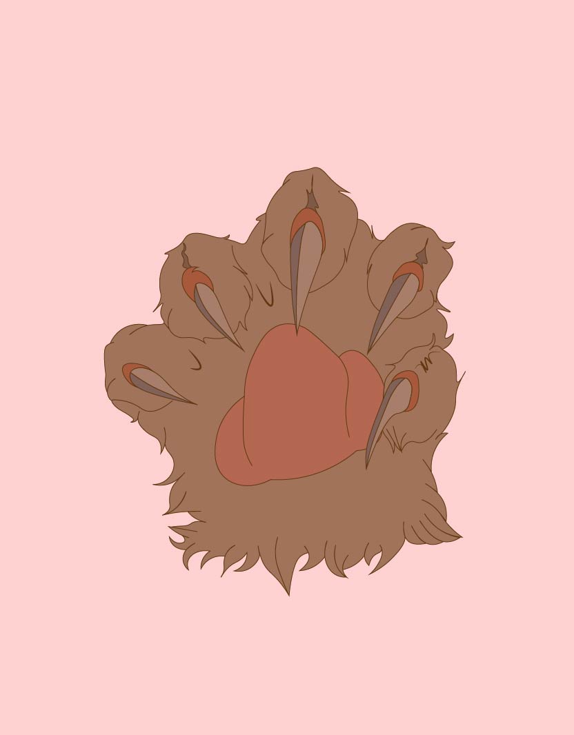brownpaw2.jpg