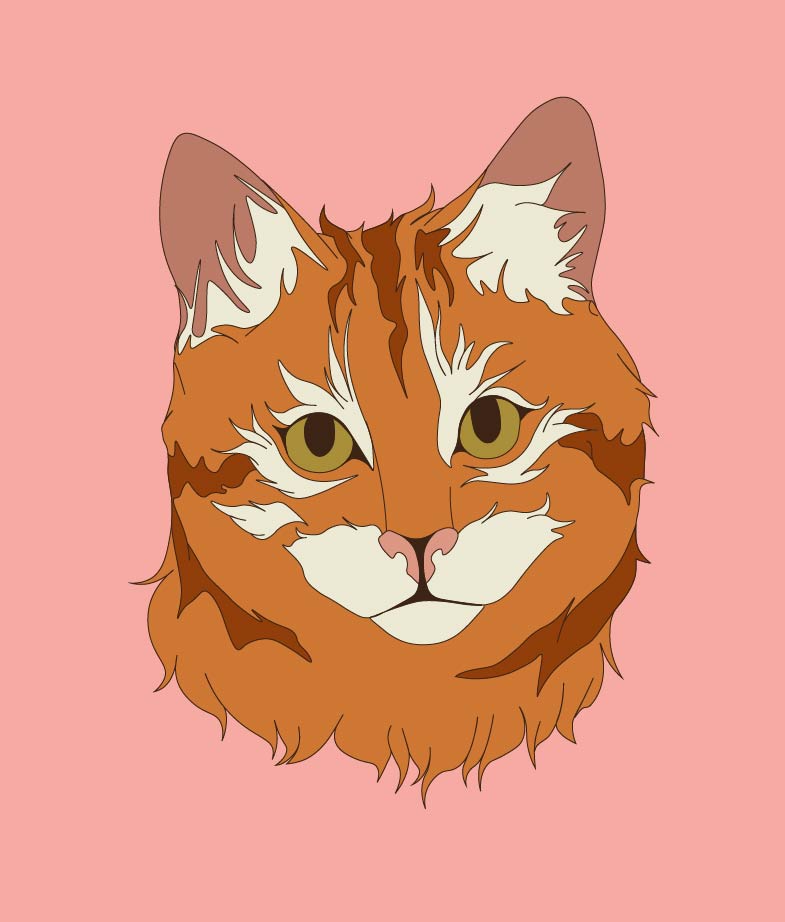 redcat.jpg