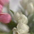 masha07_06