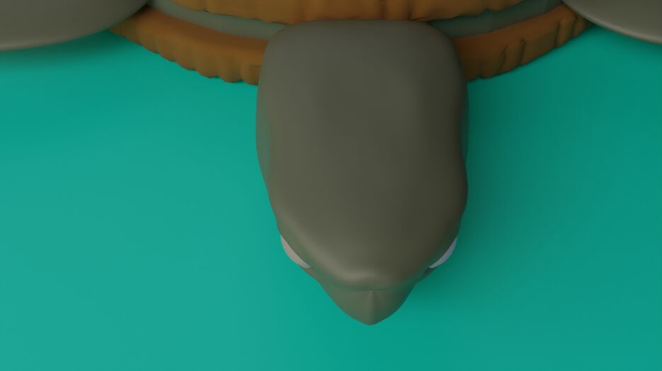 Шоты пролет камеры вокруг черепахи 1F-180F 30FPS 400Sampls0001.jpg