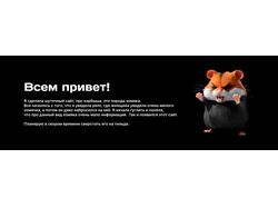 Увидела видео в рилс, про милого, но злого хомяка, начала гуглить. Инф