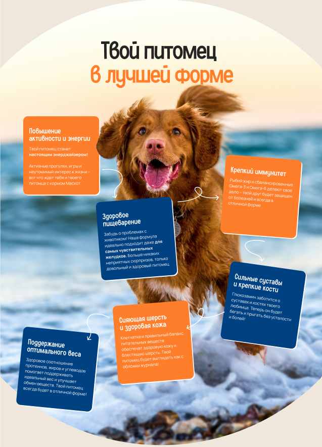 Снимок экрана 2024-09-29 000259.png