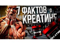 Превью #2