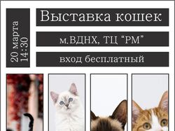 Афиша выставки