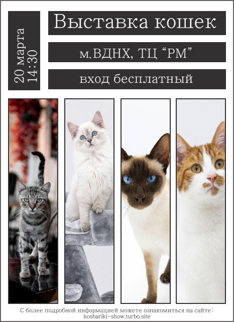 афиша 3.jpg