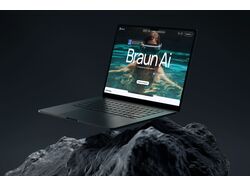 Diving\ Braun Ai