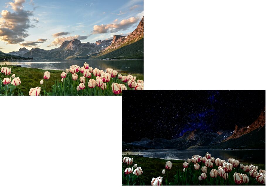 Без имени-3.png