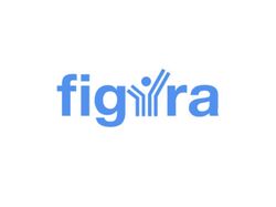 Figura IT: Международная компания со штатом 300 человек