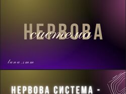 Презентація(приклад)