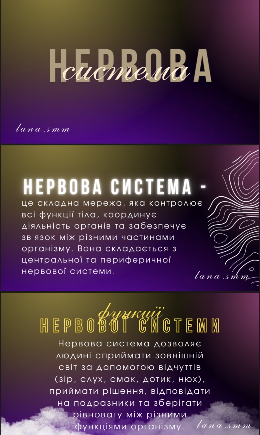 IMG_0180.jpeg