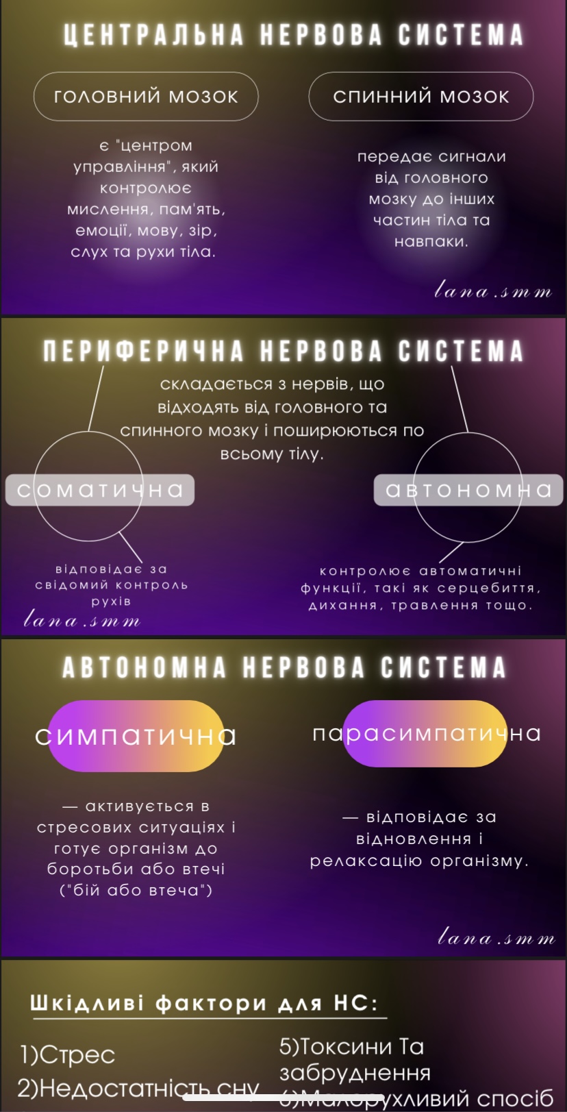 IMG_0181.jpeg