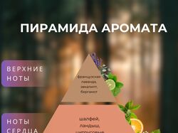 Инфографика 