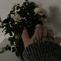 Alexa_2805