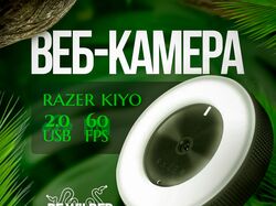 Инфографика веб-камеры razer