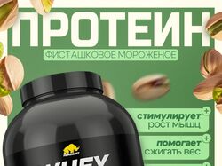 Инфографика протеин whey