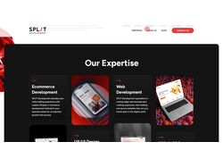 Splitdev