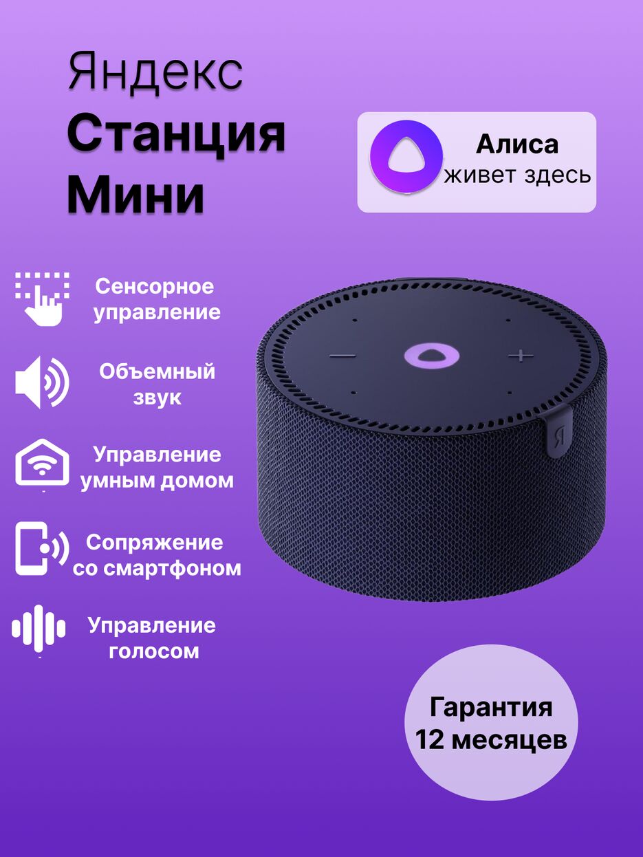 умная колонка1.png