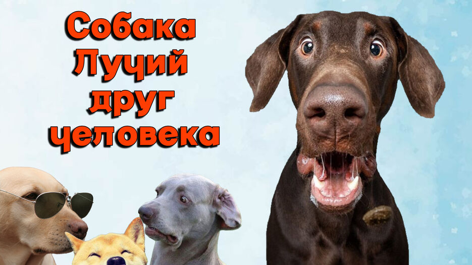 Web_Photo_Editor.jpg