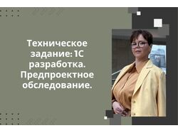 Техническое задание: 1С разработка. Предпроектное обследование