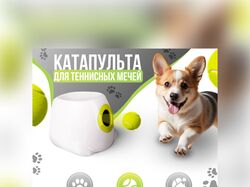 Инфографика