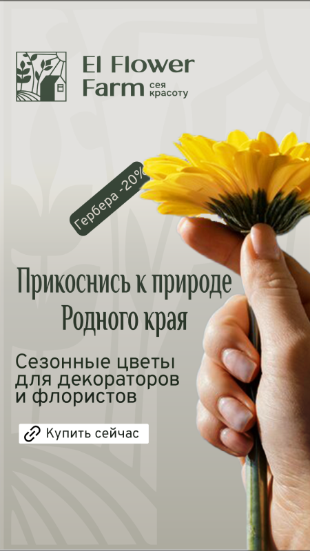 Шаблон в сторис 1080х1920 гербера 1.png