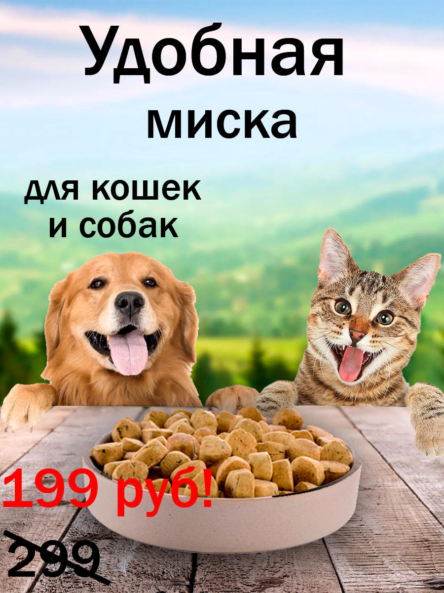 1 ЕУЫЕ.png