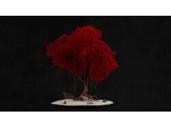 Trees