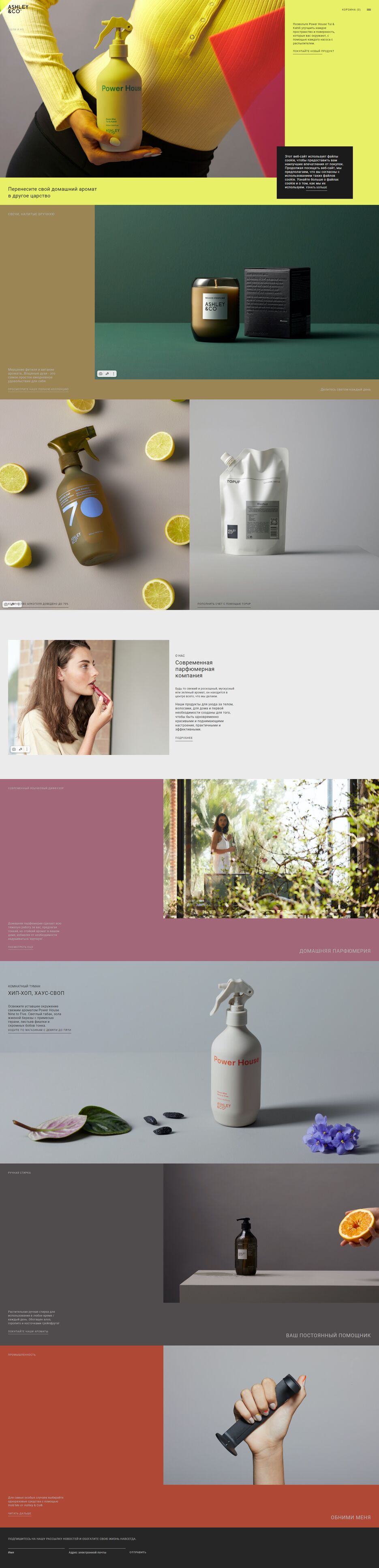 FireShot Capture 021 - Ashley&Co - live.verstaem.online.png