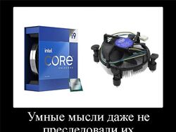 мемы