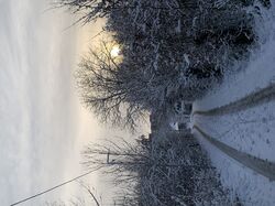 перекладач