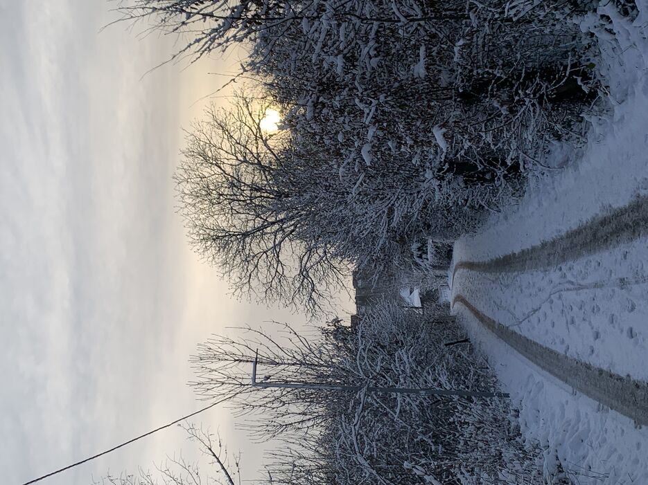 IMG_5812.jpeg