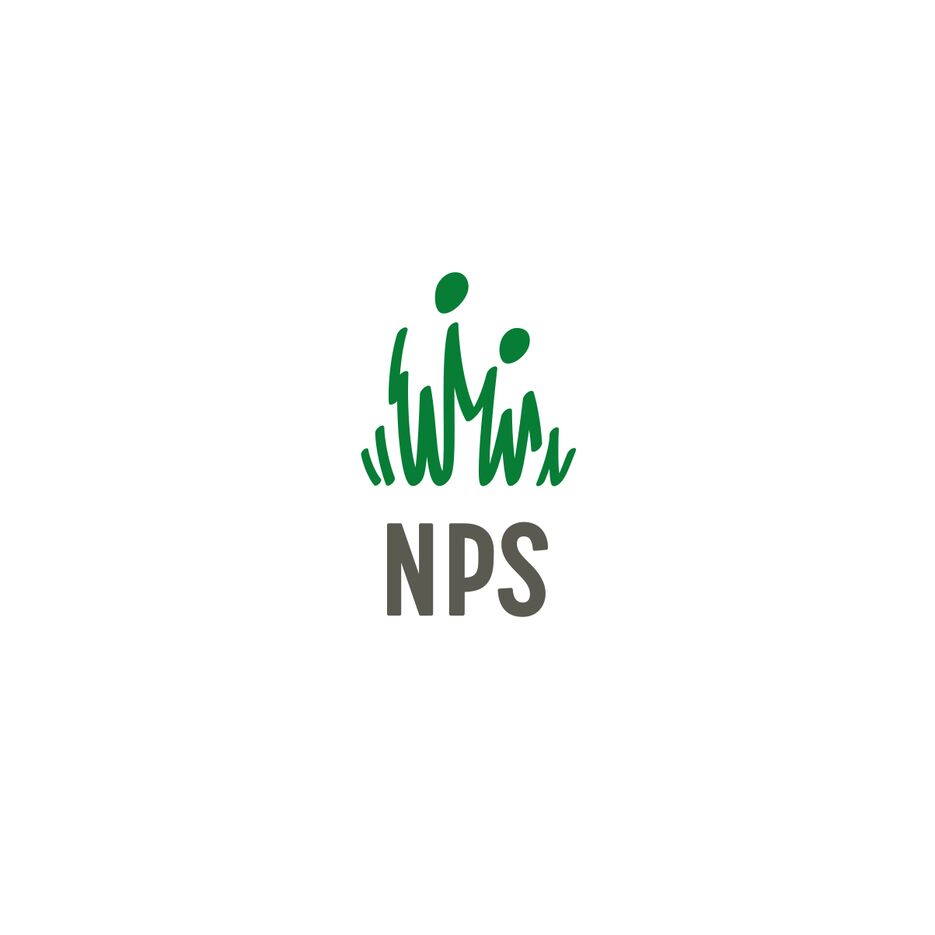 NPS-4.png