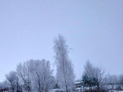Фото до та після обробки