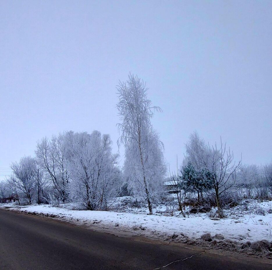 enhanced_winter_scene.jpg