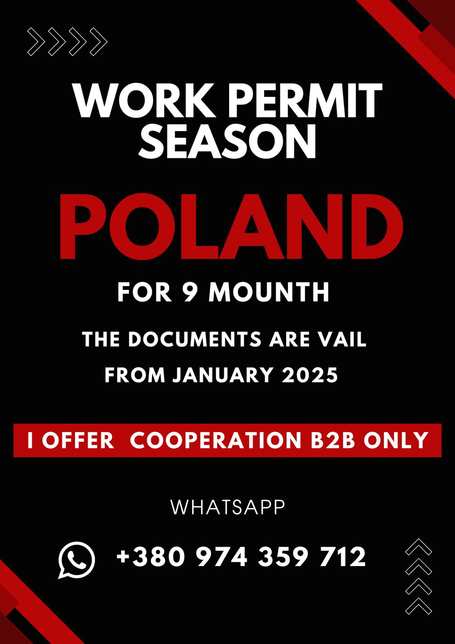 Red and Black Geometric Black Friday Sale Flyer.png