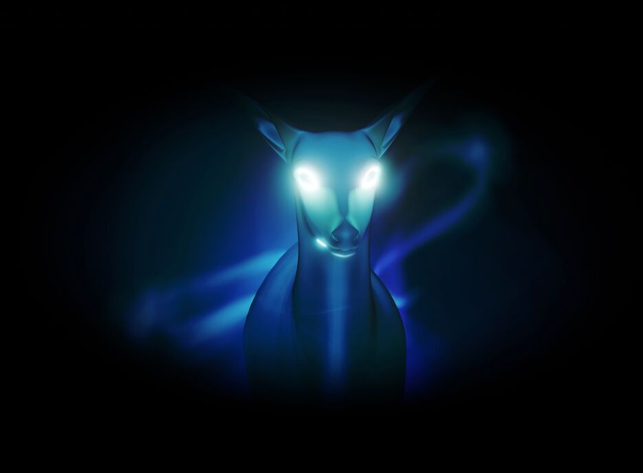 IMG_0045.png