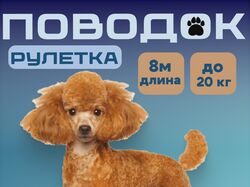 инфографика для товара "поводок"