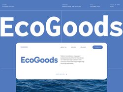 Eco Goods UI UX DESIGNE