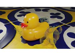 Duck