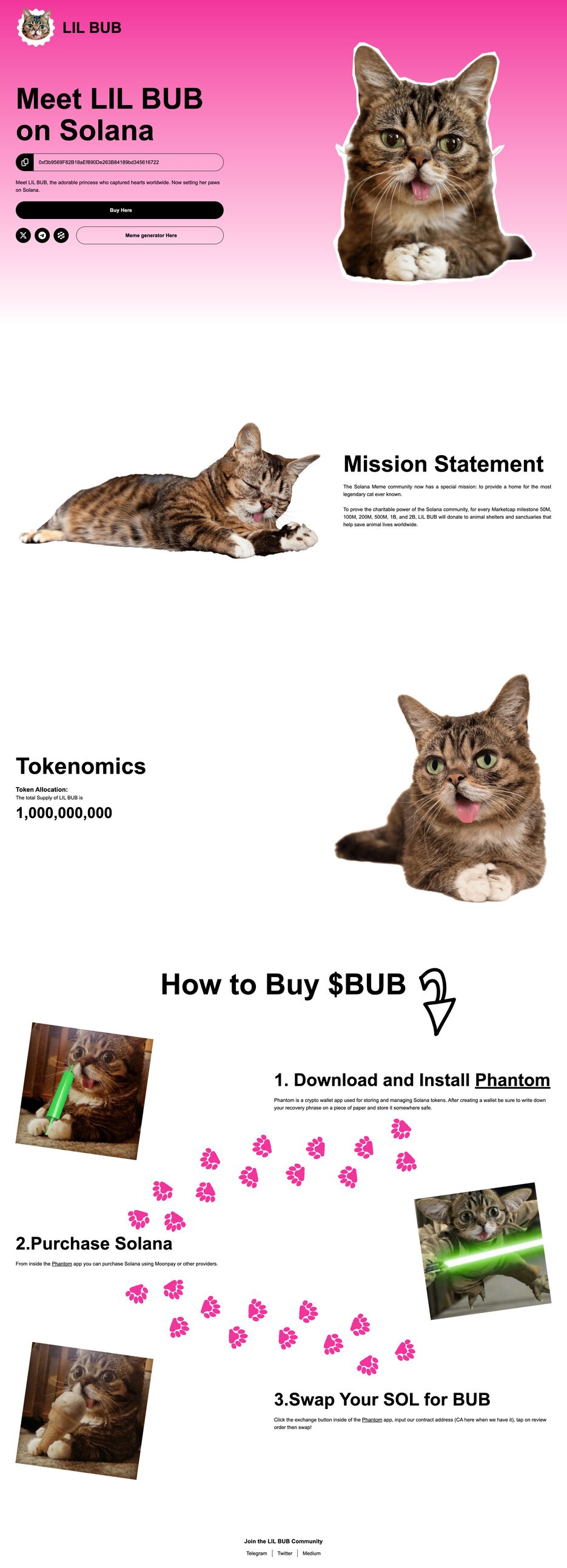 lil-bub.png